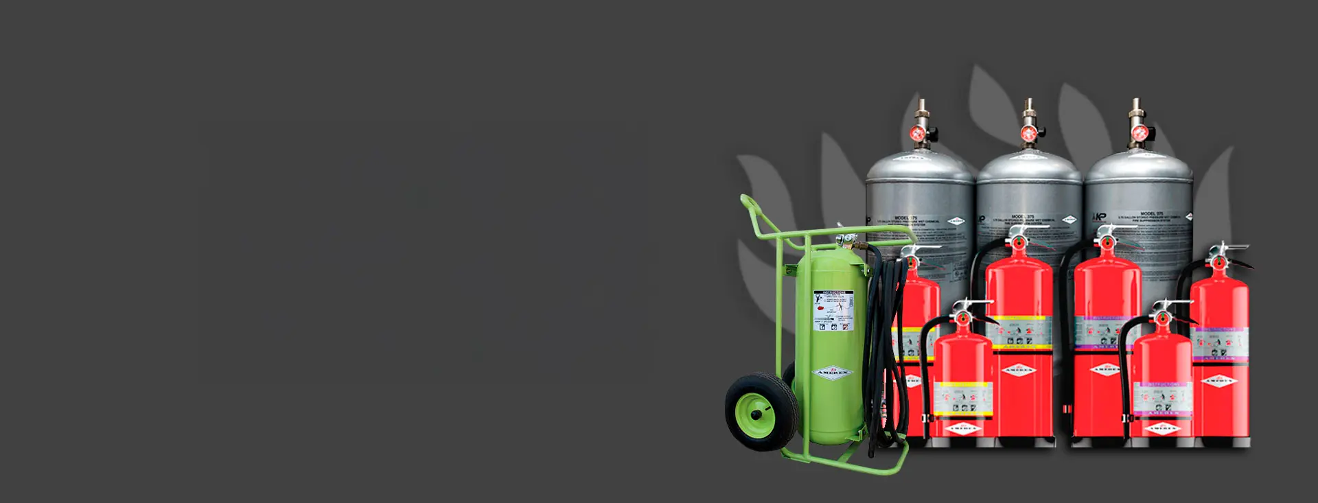 Distribuidor Exclusivo Amerex