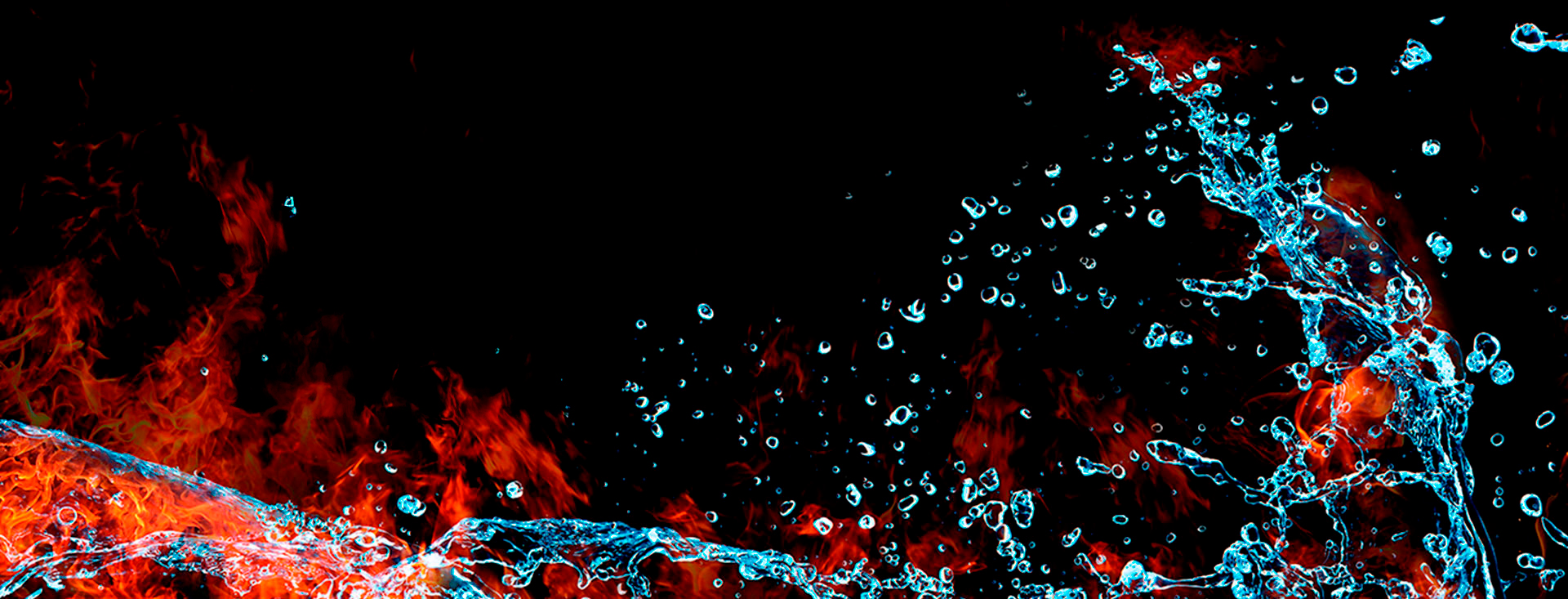 Total Protección es Distribuidor