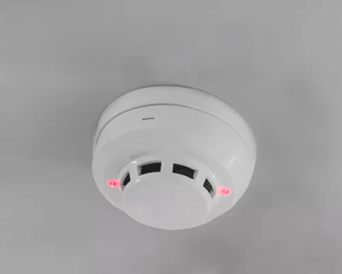 Sistemas de Detección